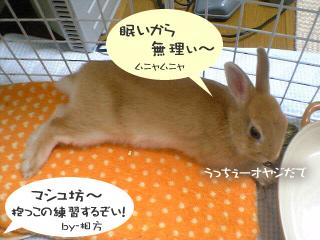 抱っこ