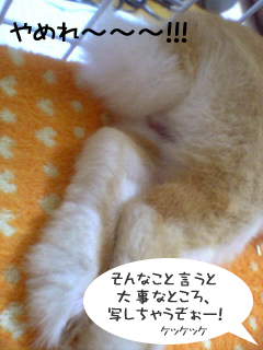 抱っこ