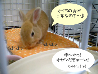 抱っこ