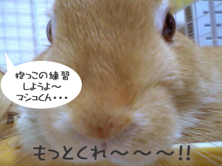抱っこ