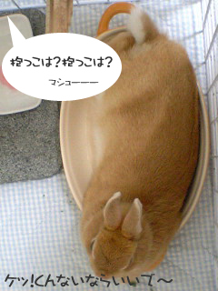 抱っこ