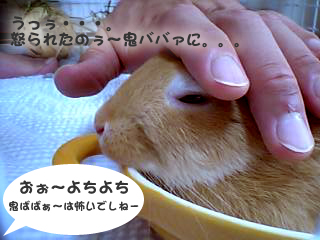 ナデナデマシュ