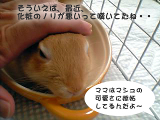 072302.jpg
