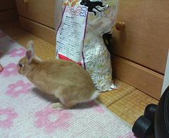 200606301844000.jpg