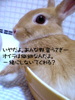 VFSH0105.jpg