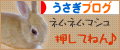rabbit80_15.gif